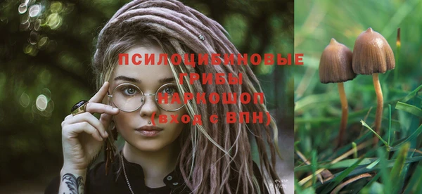 мет Абинск
