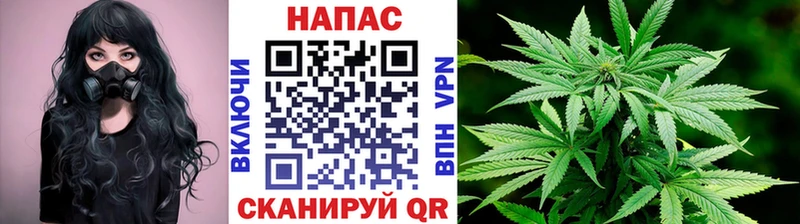 закладки  Северодвинск  мориарти Telegram  Шишки марихуана план 